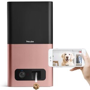 Petcube Bites treat dispensing pet camera